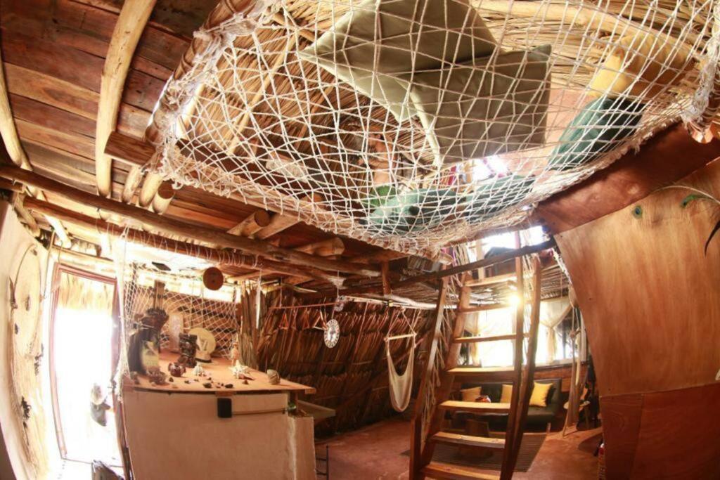 Jungla Bacalar 아파트 외부 사진