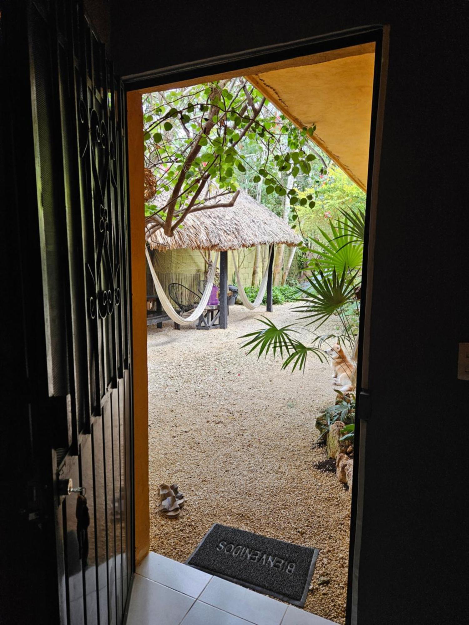 Jungla Bacalar 아파트 외부 사진