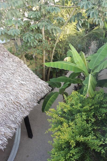 Jungla Bacalar 아파트 외부 사진