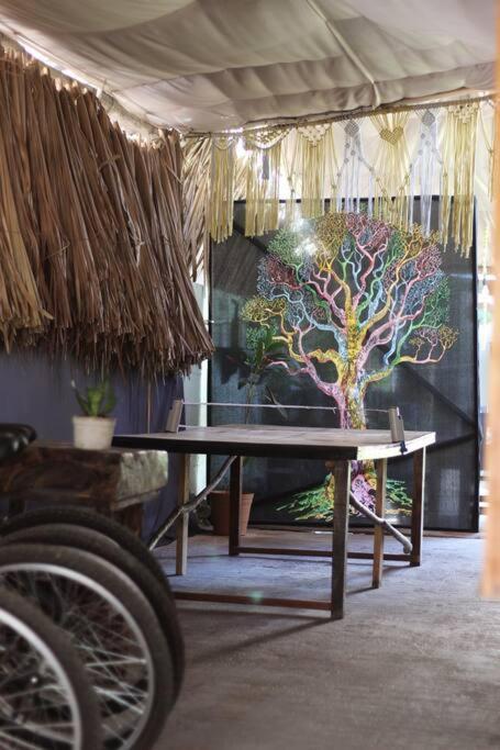 Jungla Bacalar 아파트 외부 사진