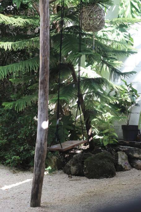 Jungla Bacalar 아파트 외부 사진