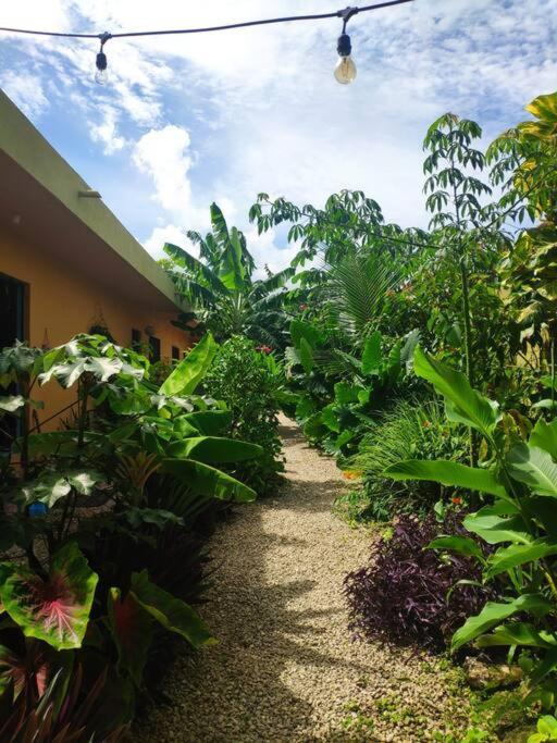 Jungla Bacalar 아파트 외부 사진