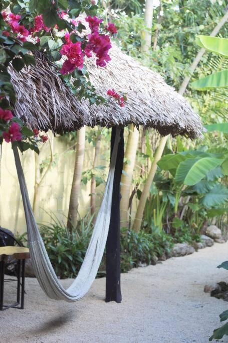Jungla Bacalar 아파트 외부 사진