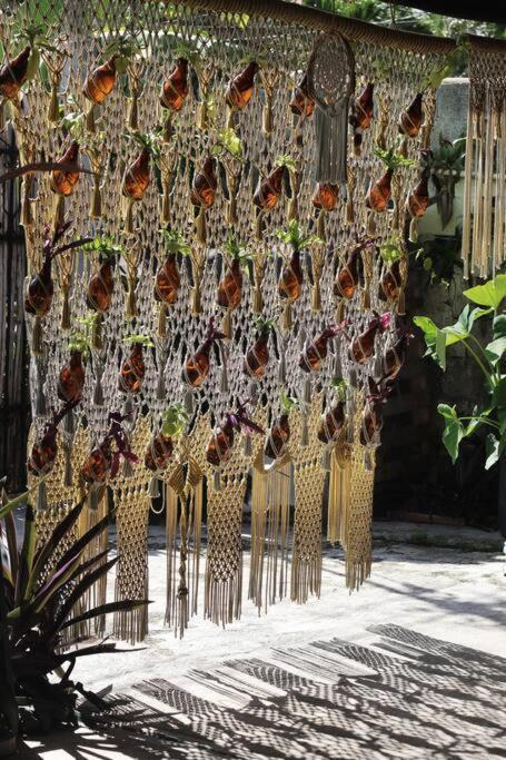 Jungla Bacalar 아파트 외부 사진