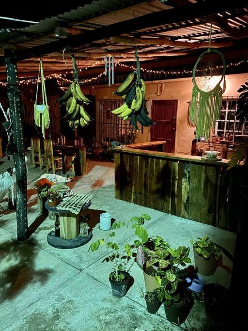 Jungla Bacalar 아파트 외부 사진