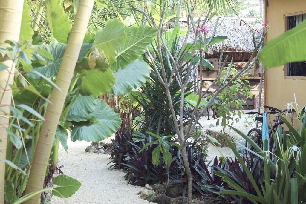 Jungla Bacalar 아파트 외부 사진