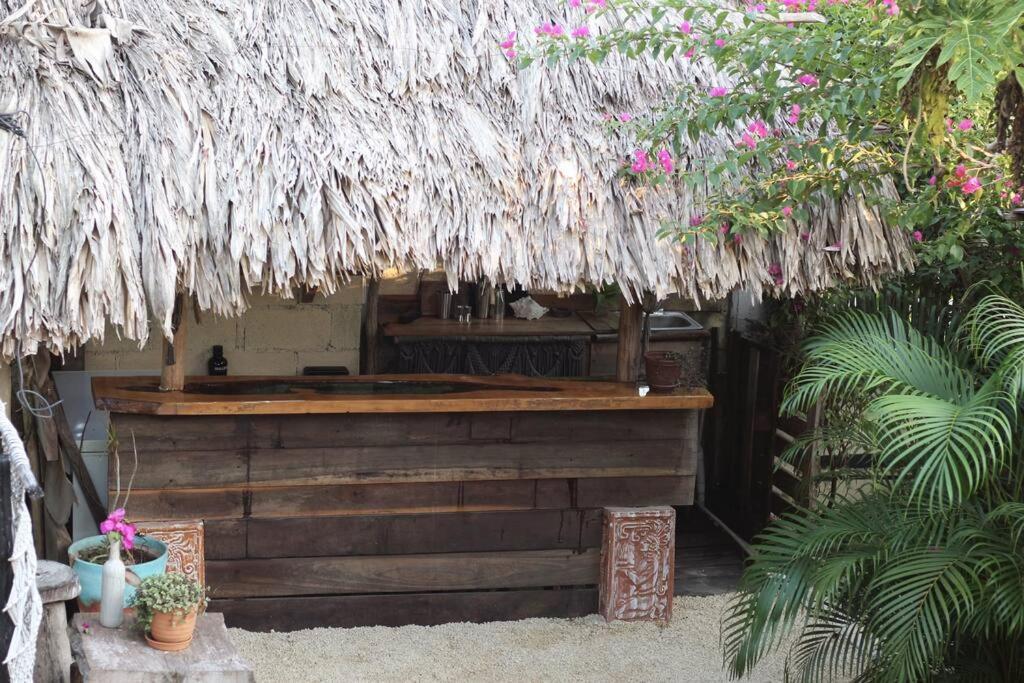 Jungla Bacalar 아파트 외부 사진